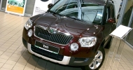 Первый кроссовер Skoda появился у российских дилеров Skoda. Фотографии